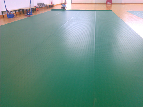 塑膠羽毛球場 塑膠羽毛球場